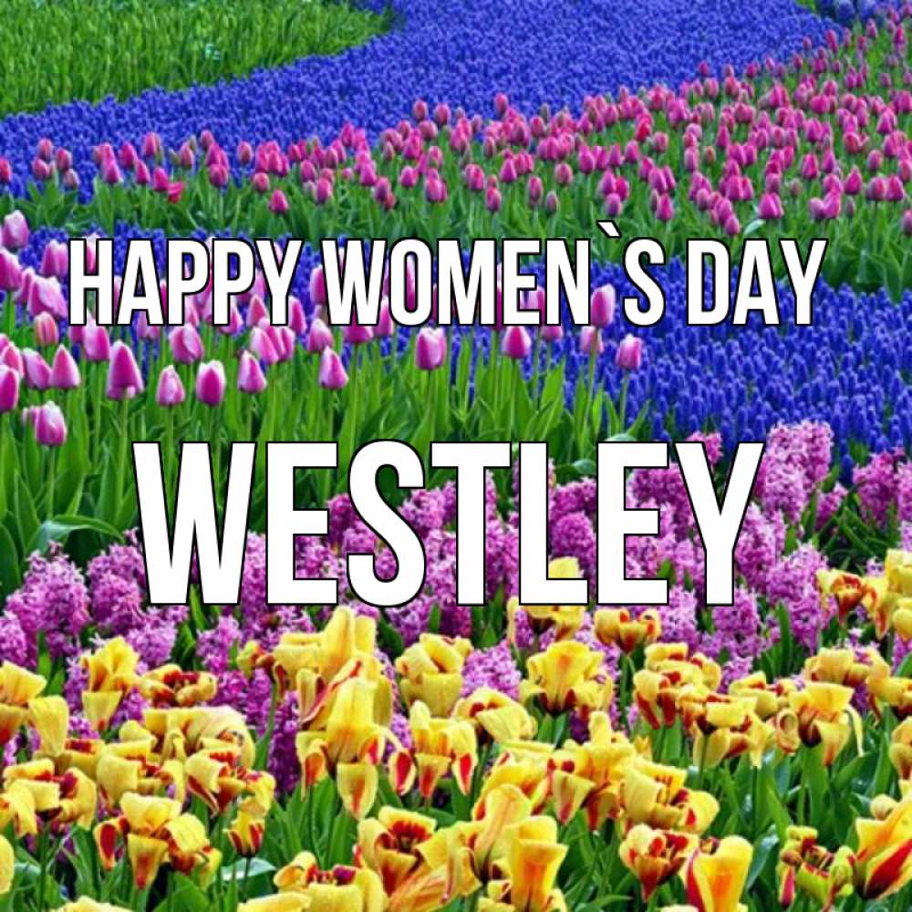Greetings card с именем, Westley happy women`s day цветы Greetings with text for free download 